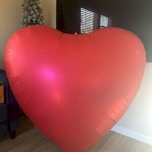 MH63 63inch big heart x1