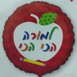 FP17 למורה הכי הכי x1
