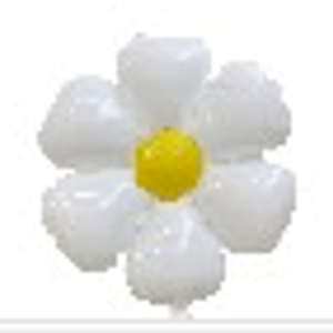 M43 Daisy פרח דייזי x1