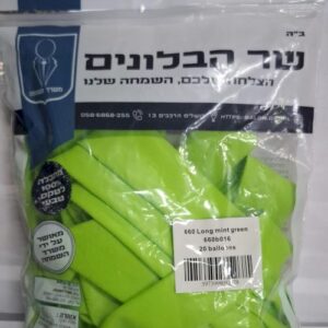 660 b016 mint green שר הבלונים מנטה x20