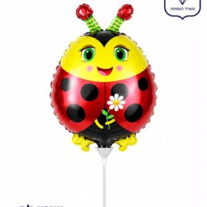 M10 Mini shape ladybug פרת משה רבנו x1