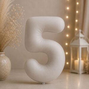 MN34 Number 5 White ספרה צבע לבן x1bp.