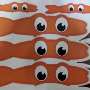 Eyes Stickers designed orange מדבקות עיניים מעוצב כתום  x1